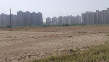 Jai Krishna Artec Image 3