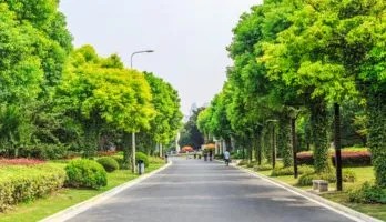 PP Green City Image 3